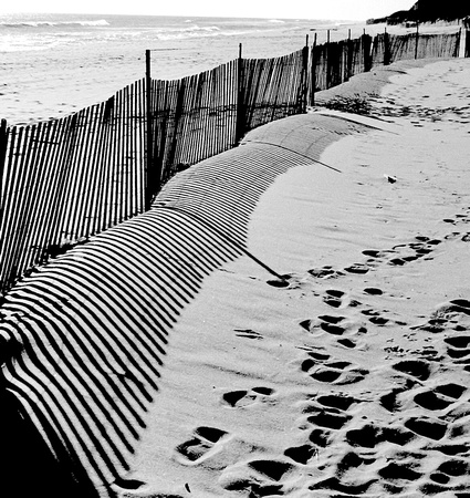 Beach Fence winter