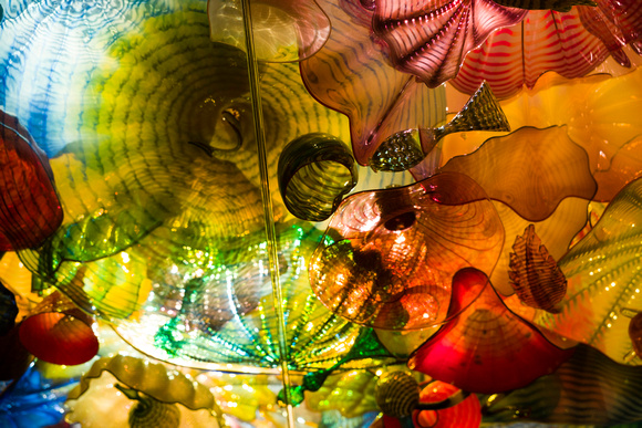 Chihuly Ceiling 3